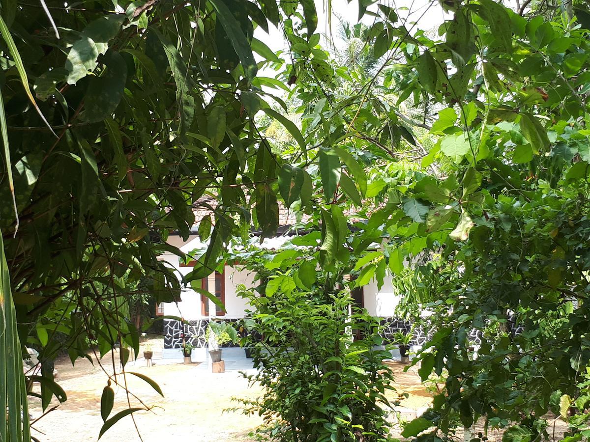 New Sam Tourist Inn Weligama Exterior foto