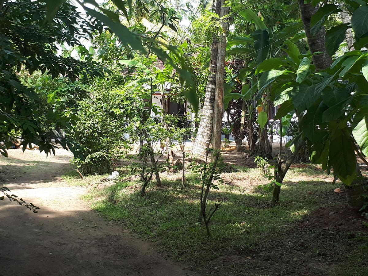 New Sam Tourist Inn Weligama Exterior foto